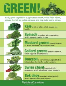 Leafy green vegetables for Healthy lifestyle.